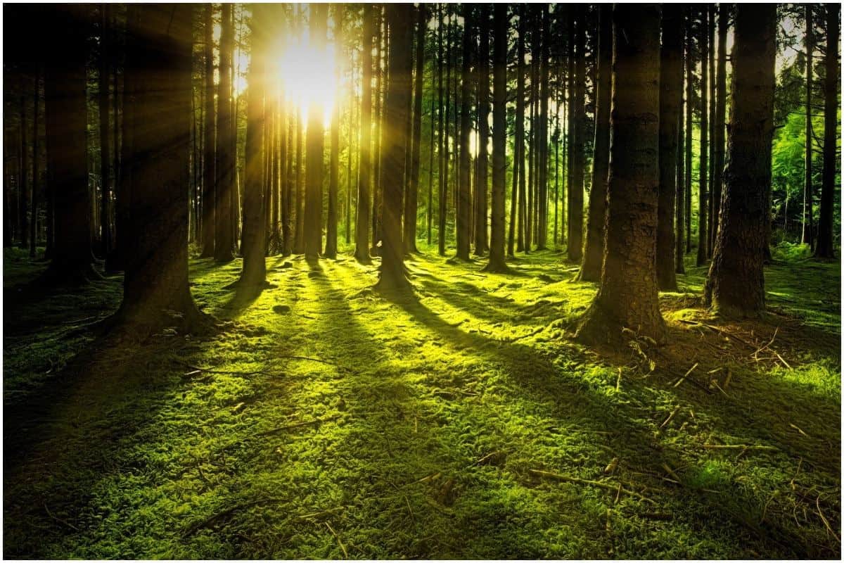 Aad Guray Nameh - Protective Mantra Invoking The Light Of The Universe