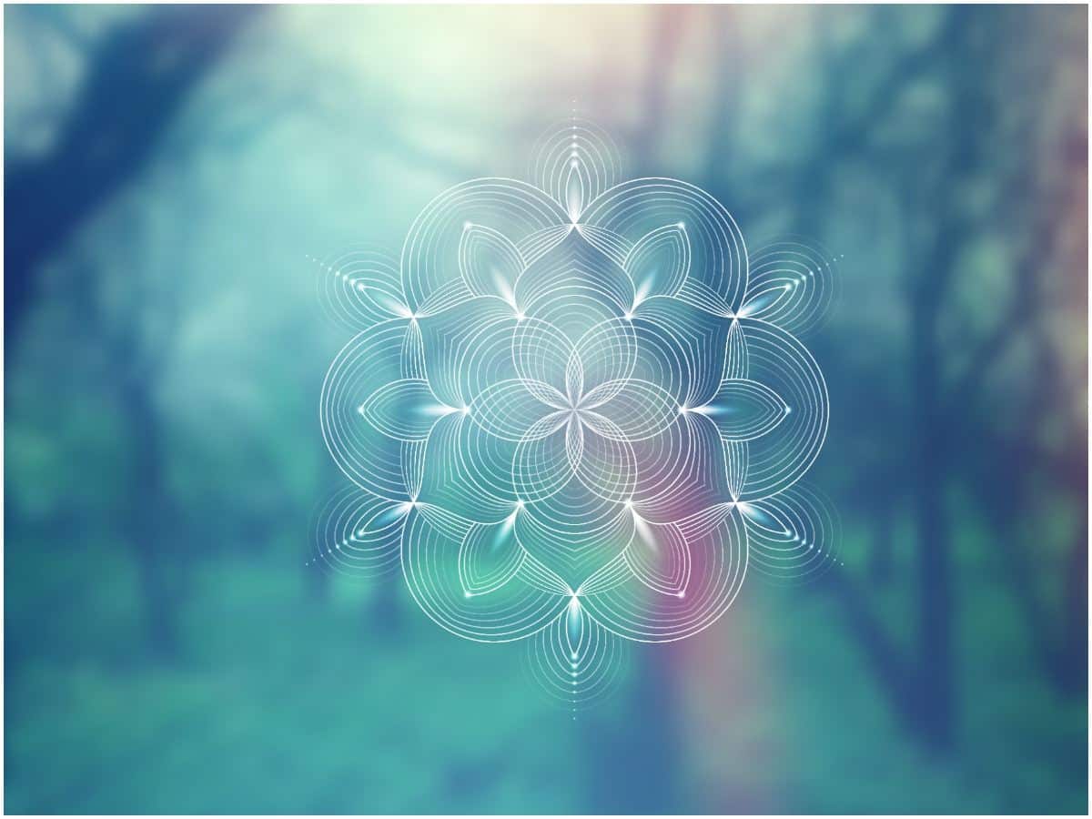 Sacred Geometry - Curiosities About The Flower of Life