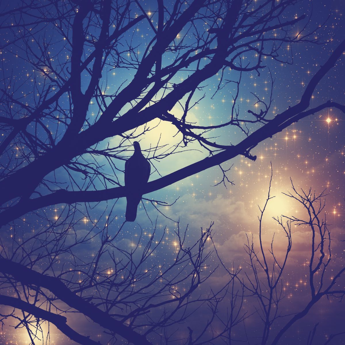 hearing birds at night spiritual