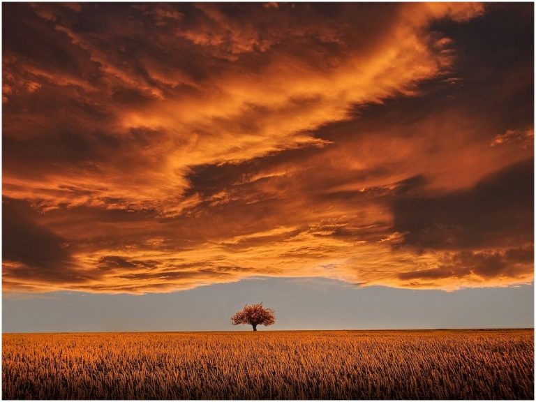 What Does The Color ORANGE Mean Spiritually Awakening State