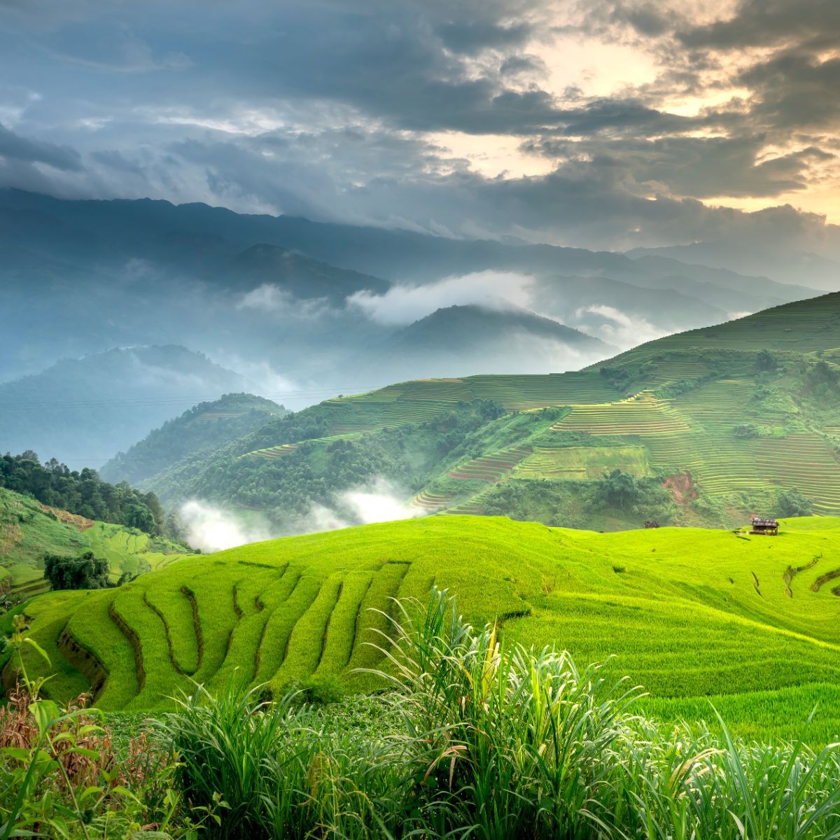 green spiritual meaning