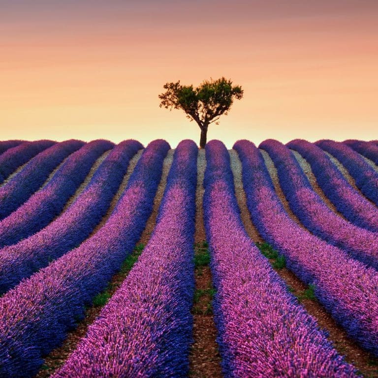 Spiritual Meaning Of The Color PURPLE Awakening State