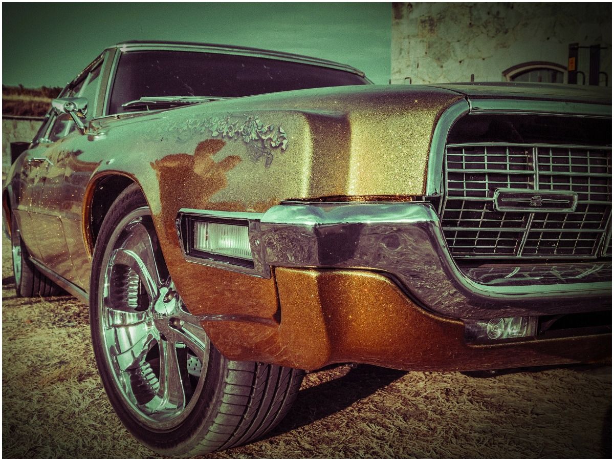 Is hitting a bird with a car bad luck