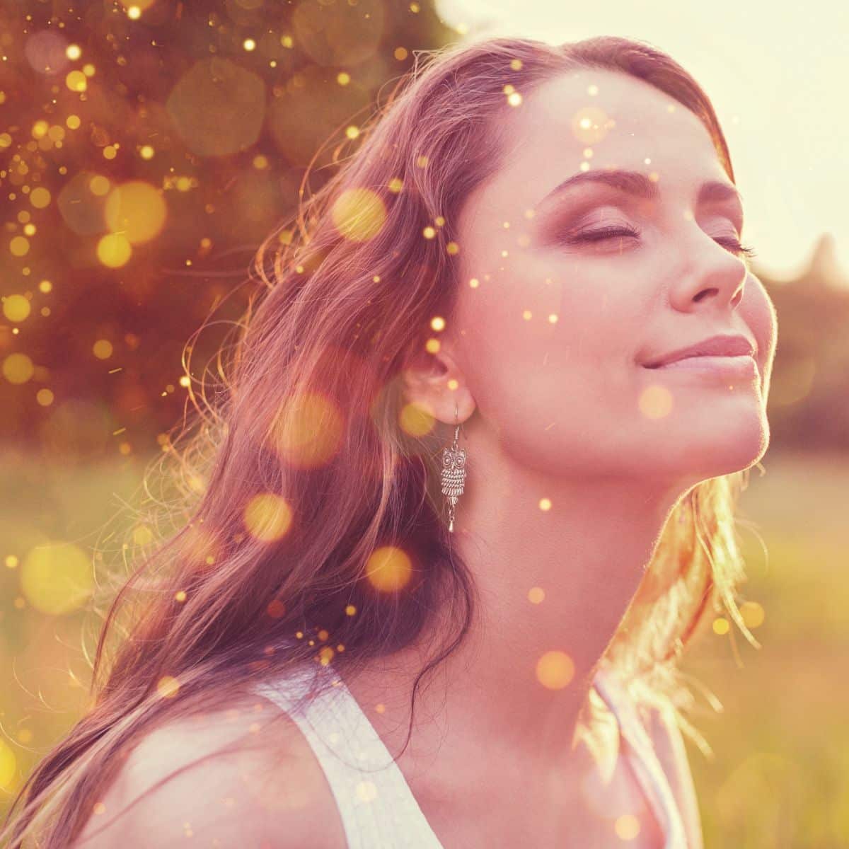 holly spiritual meaning