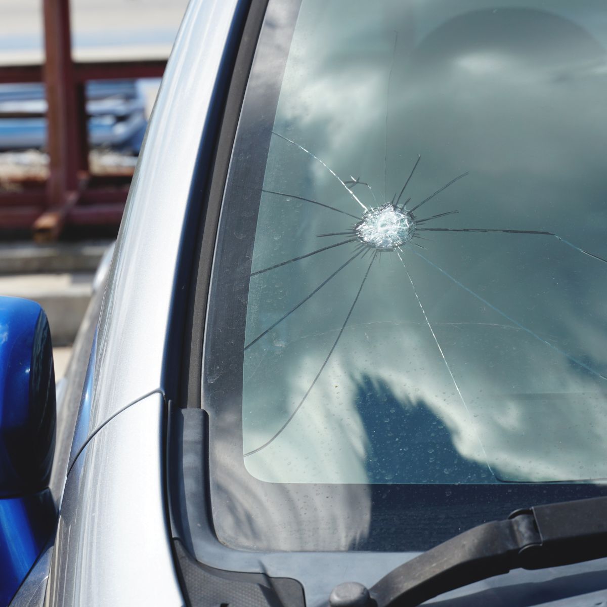 Is hitting a bird with a car bad luck? Awakening State
