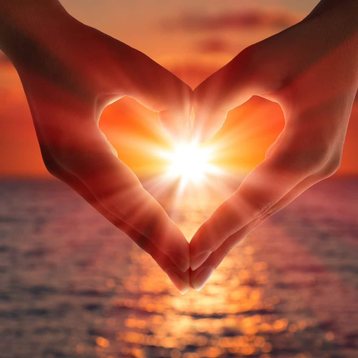signs from the universe hearts