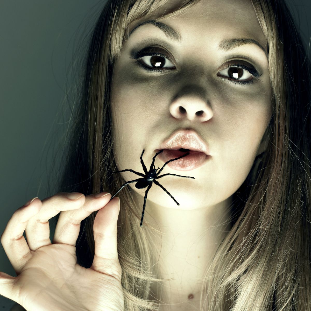 what does it mean when a spider crawls on you