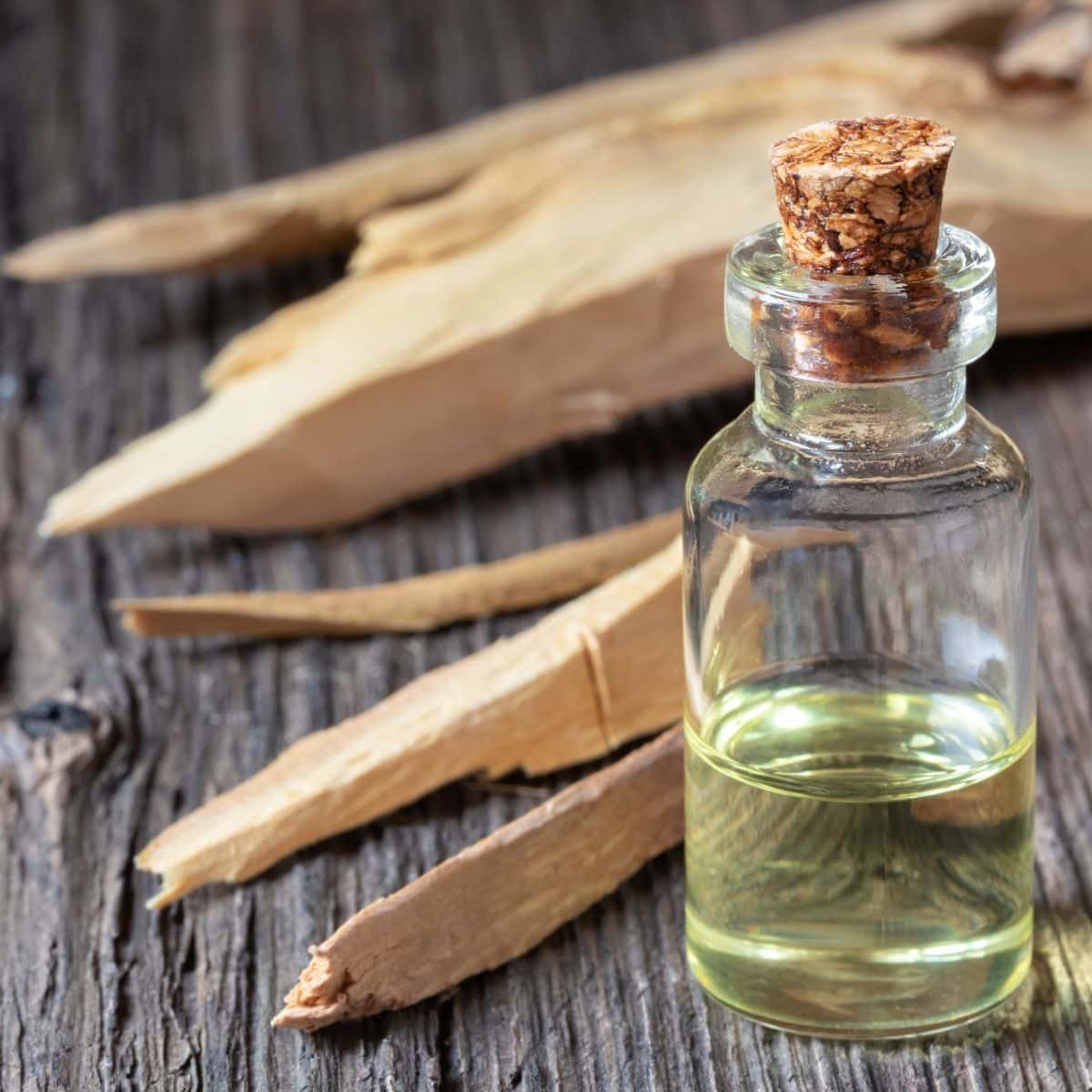 What is the spiritual meaning of smelling sandalwood