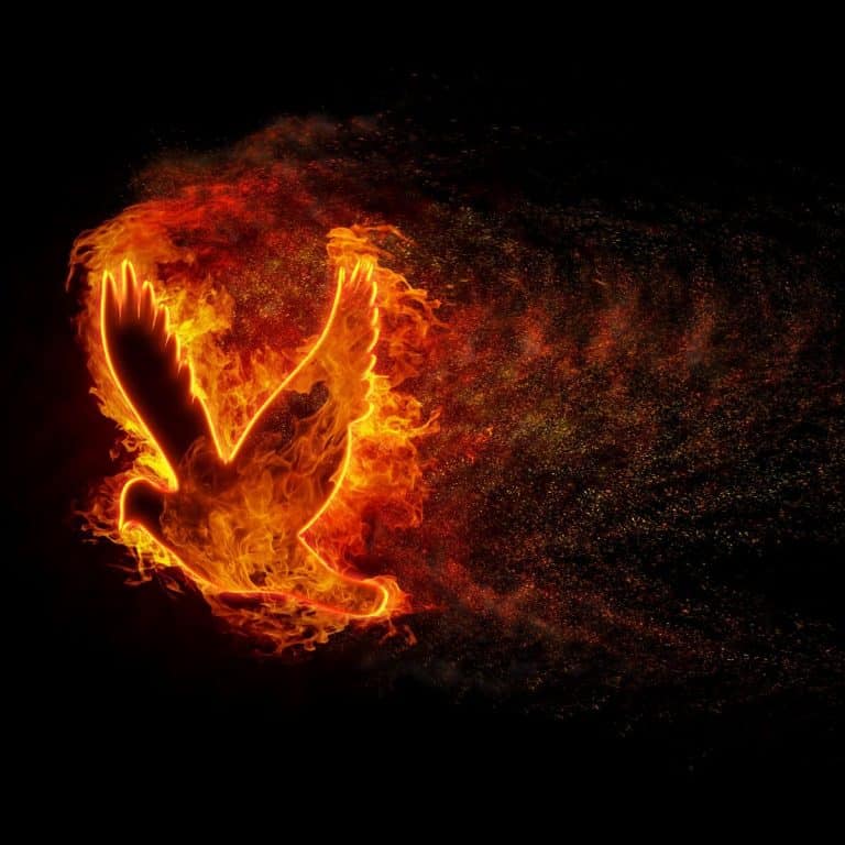 Burning Dove Spiritual Meaning Awakening State