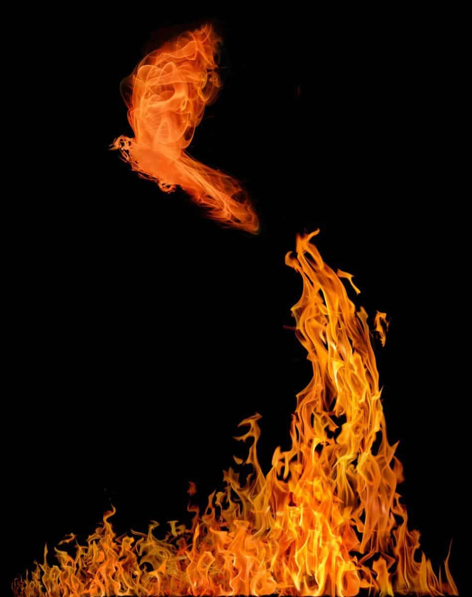 dove on fire symbolism