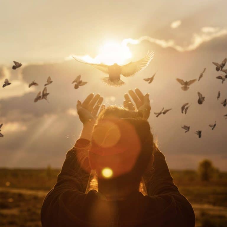 Lyran Starseed Traits Meaning Awakening State