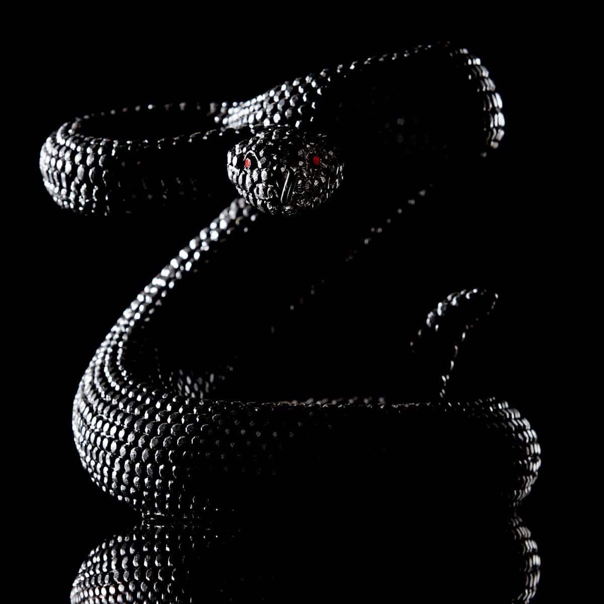 Spiritual Meaning of a Snake in a Dream