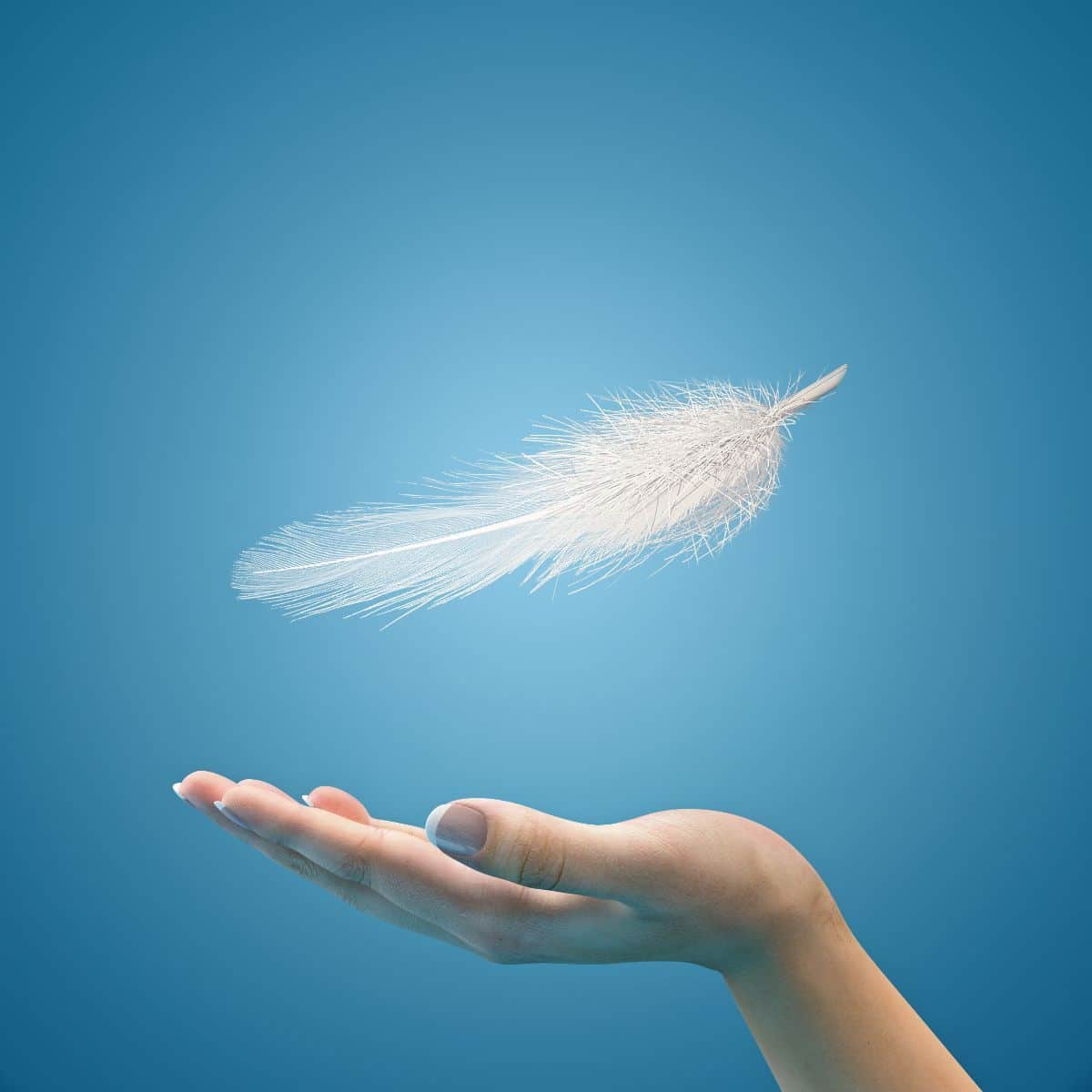White Feather spiritual meaning Awakening State