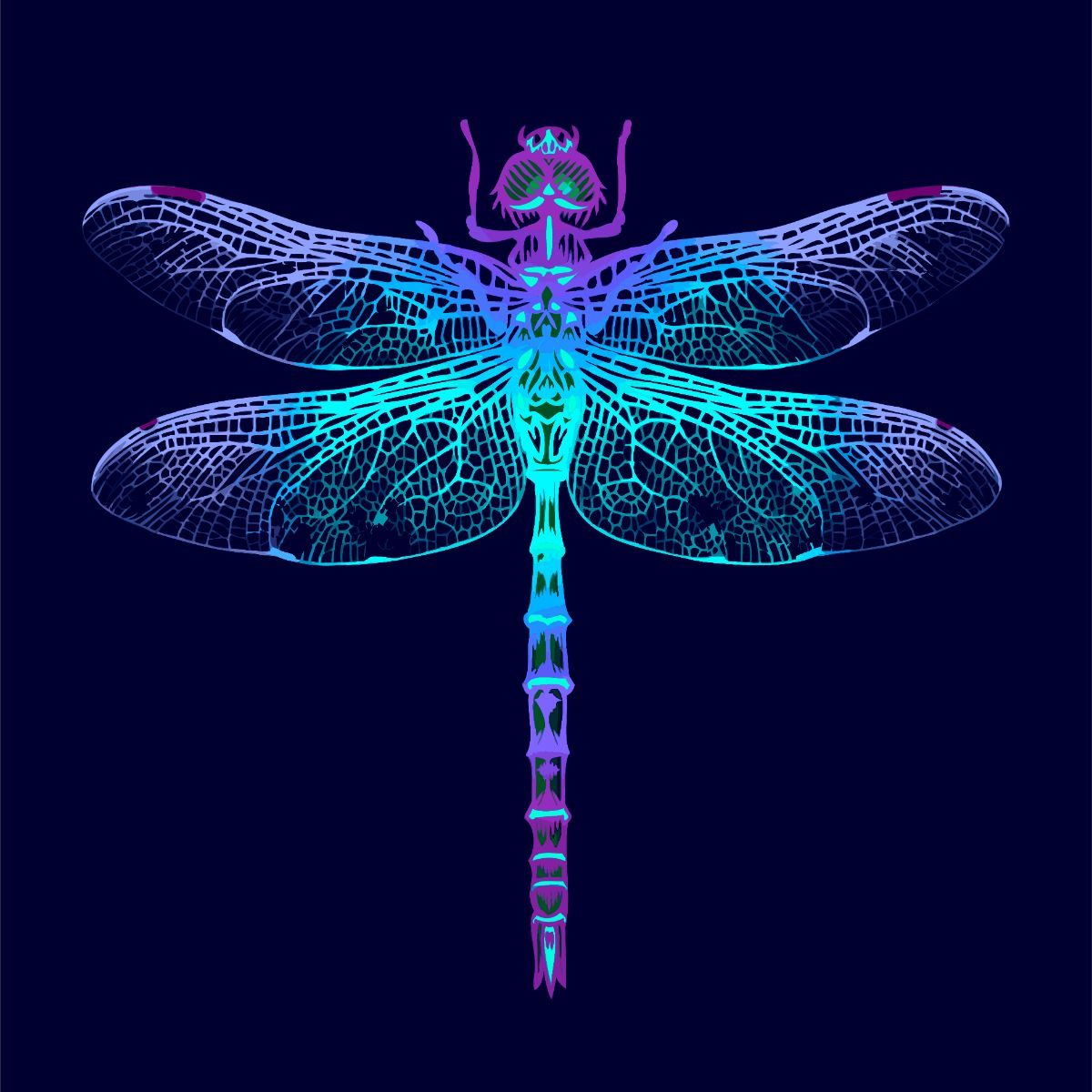 spiritual meaning of dragonfly landing on you