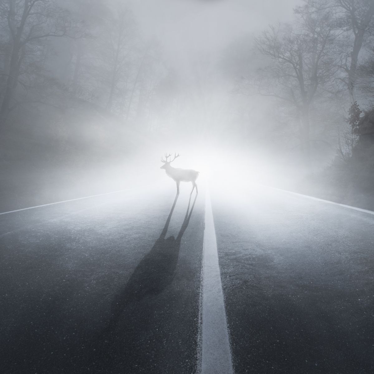 what does it mean when you hit a deer spiritually