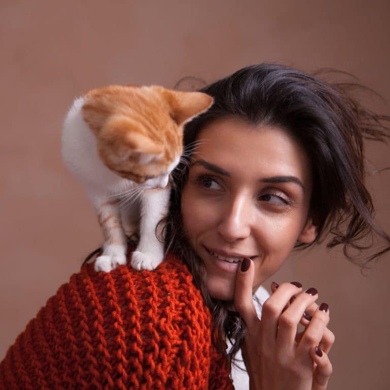 Curated visual reference: Cat Meowing Due To Hearing Loss Reference: Hearing A Cat Meow Spiritual Meaning