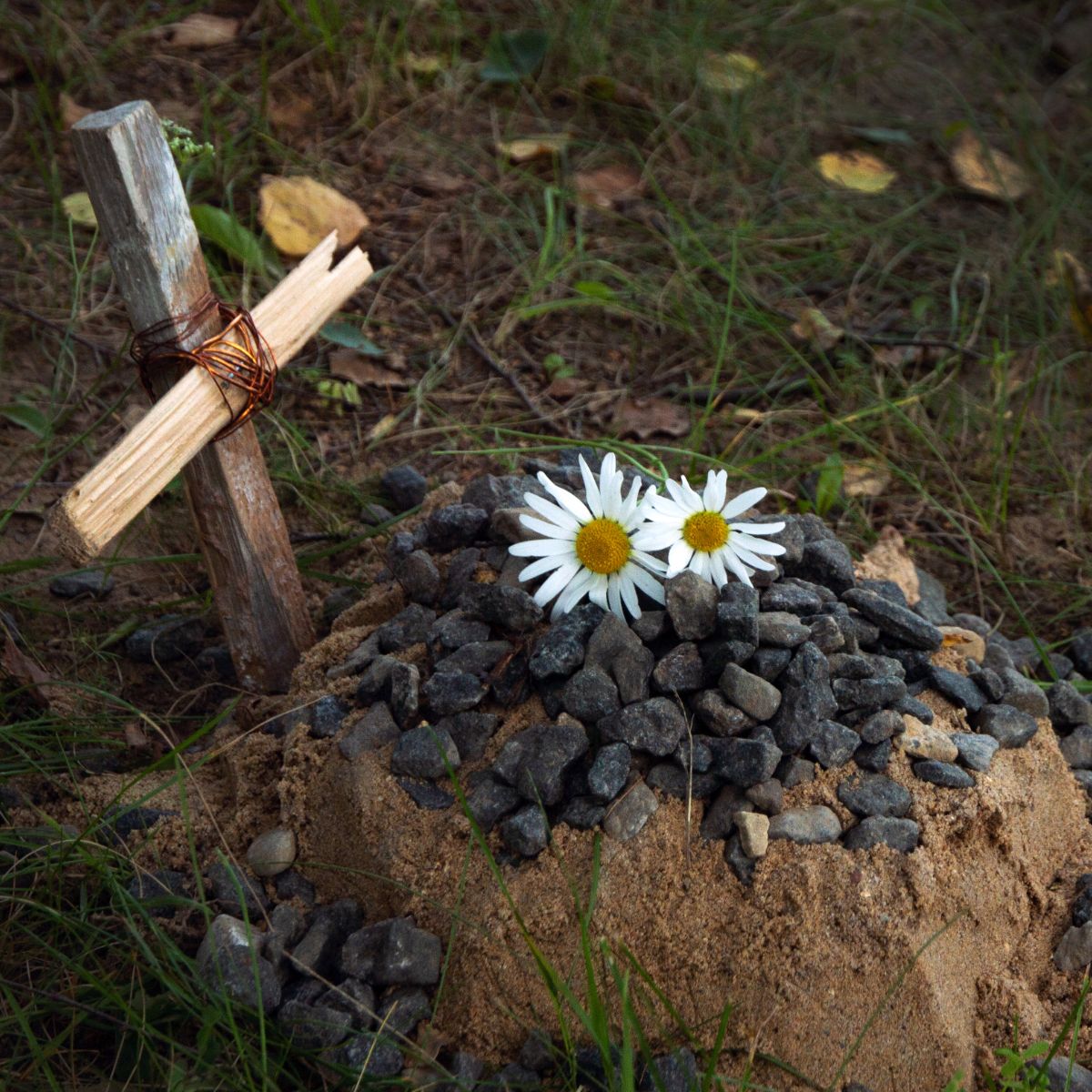 How Can We Connect With Those Who Have Passed Away