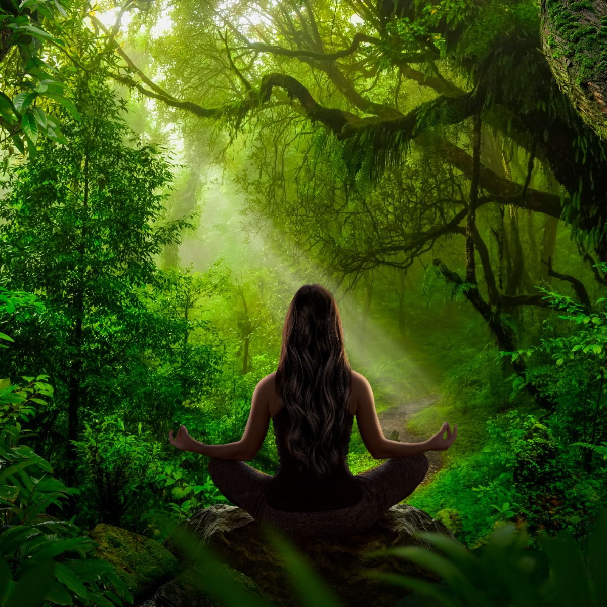 Spiritual Meanings of Green Snakes in Dreams