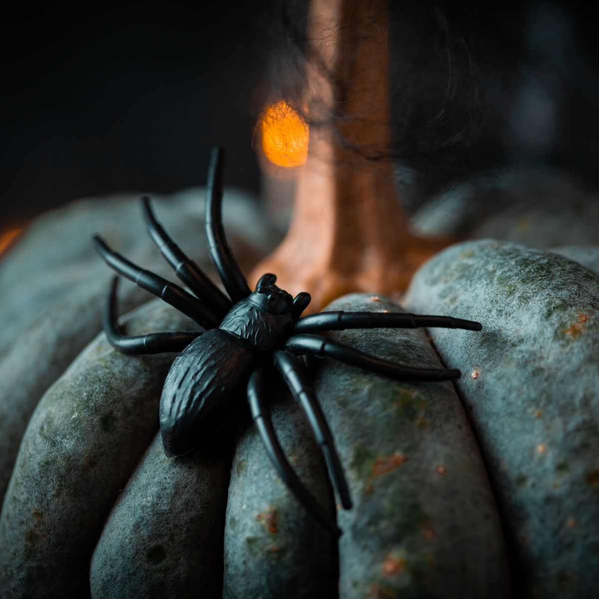 i keep seeing spiders what does that mean