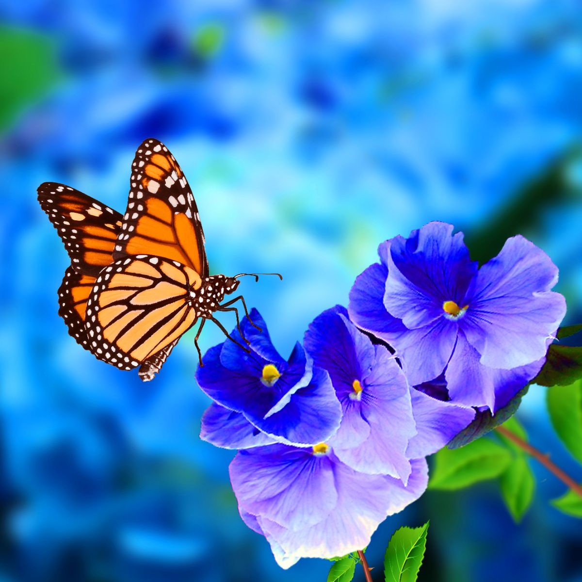 spiritual meaning of monarch butterfly flying around you