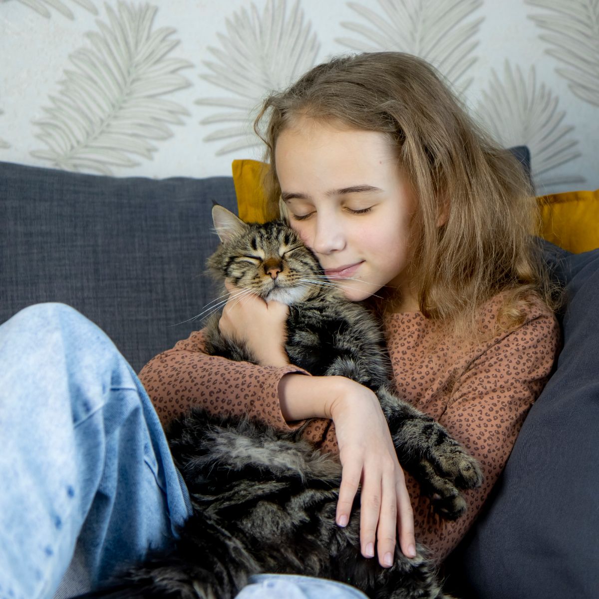 what do grey cats symbolize