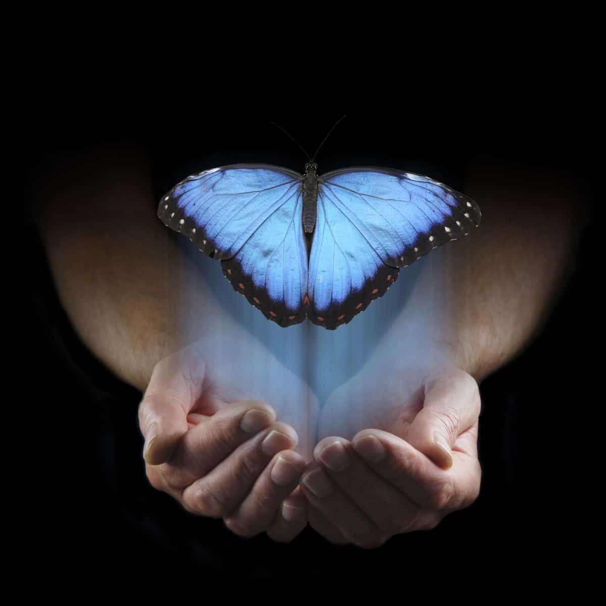 butterfly meaning in the bible
