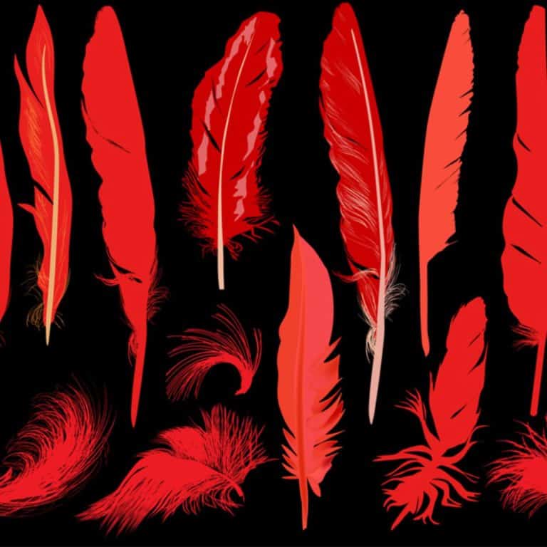 What is the Spiritual Meaning of Red Feather? + Bible Awakening State