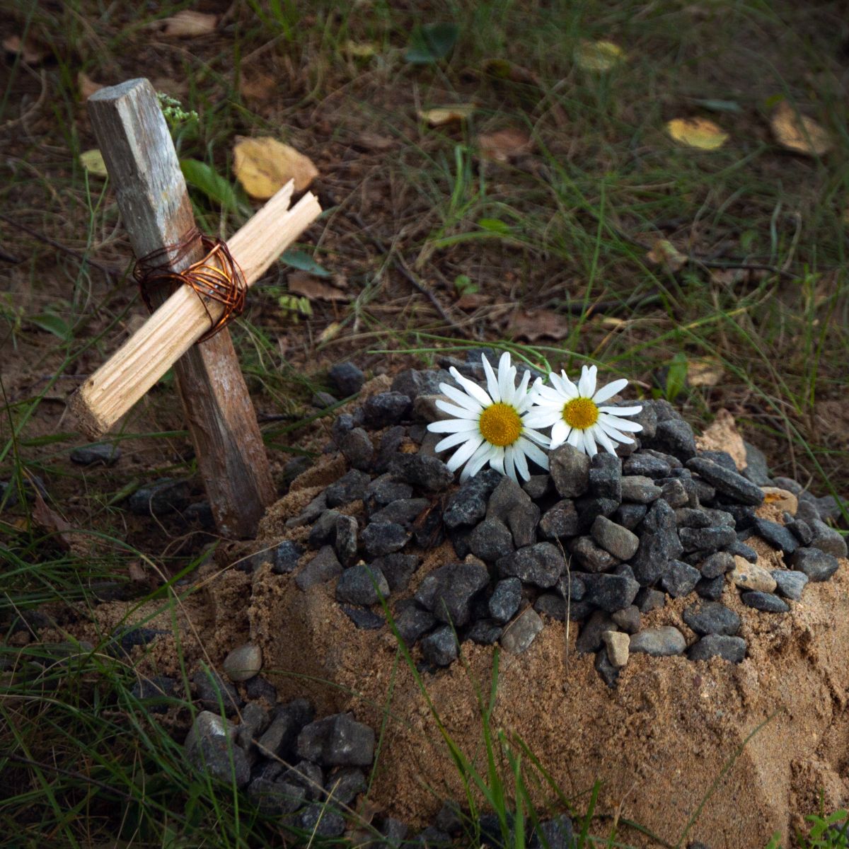 Do Loved Ones Know When You Visit a Grave? Awakening State