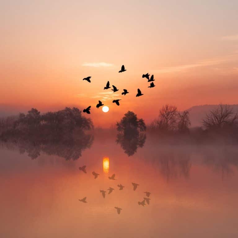 Fall Equinox spiritual meaning Awakening State