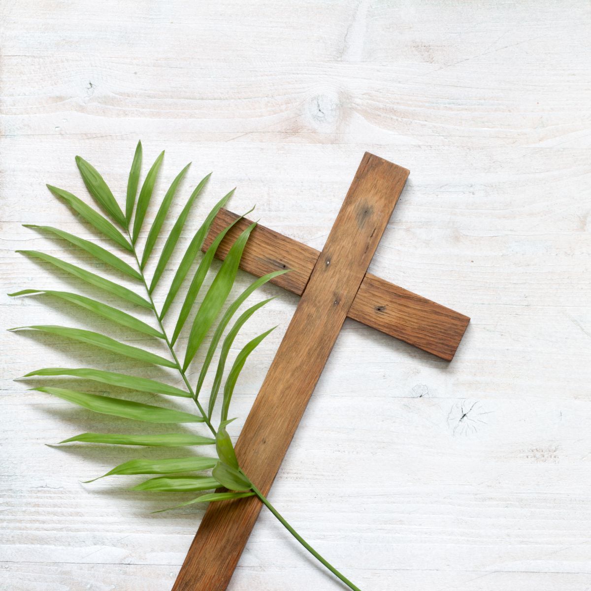 Palm Sunday spiritual meaning