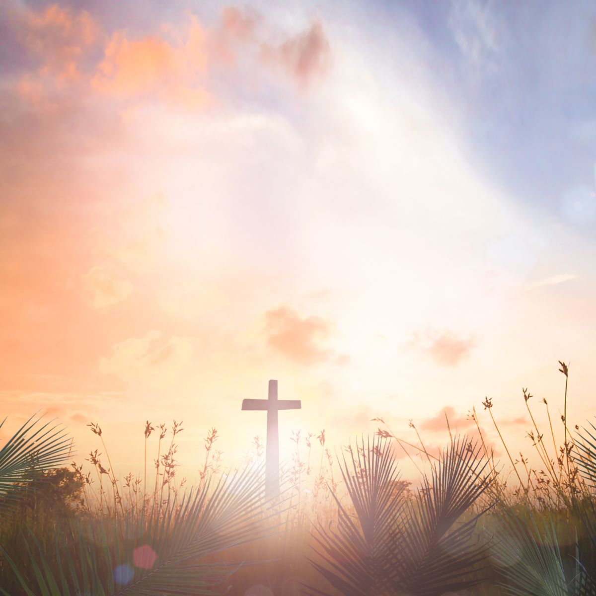 what's the significance of palm sunday