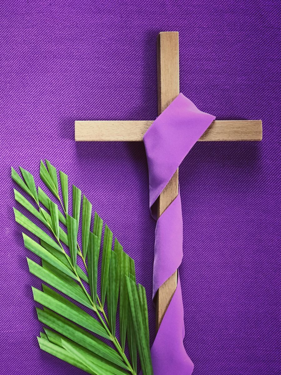 why do we celebrate palm sunday
