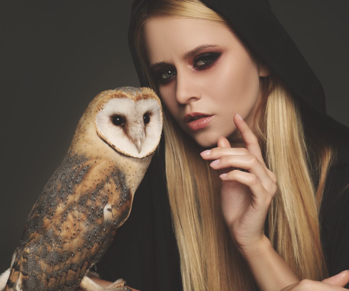 What Does It Mean When You Hear An Owl Hoot At Night Spiritual Meaning