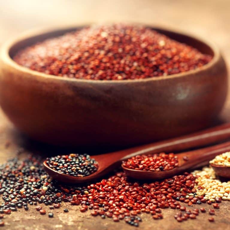 List of Foods High in Lectins Awakening State