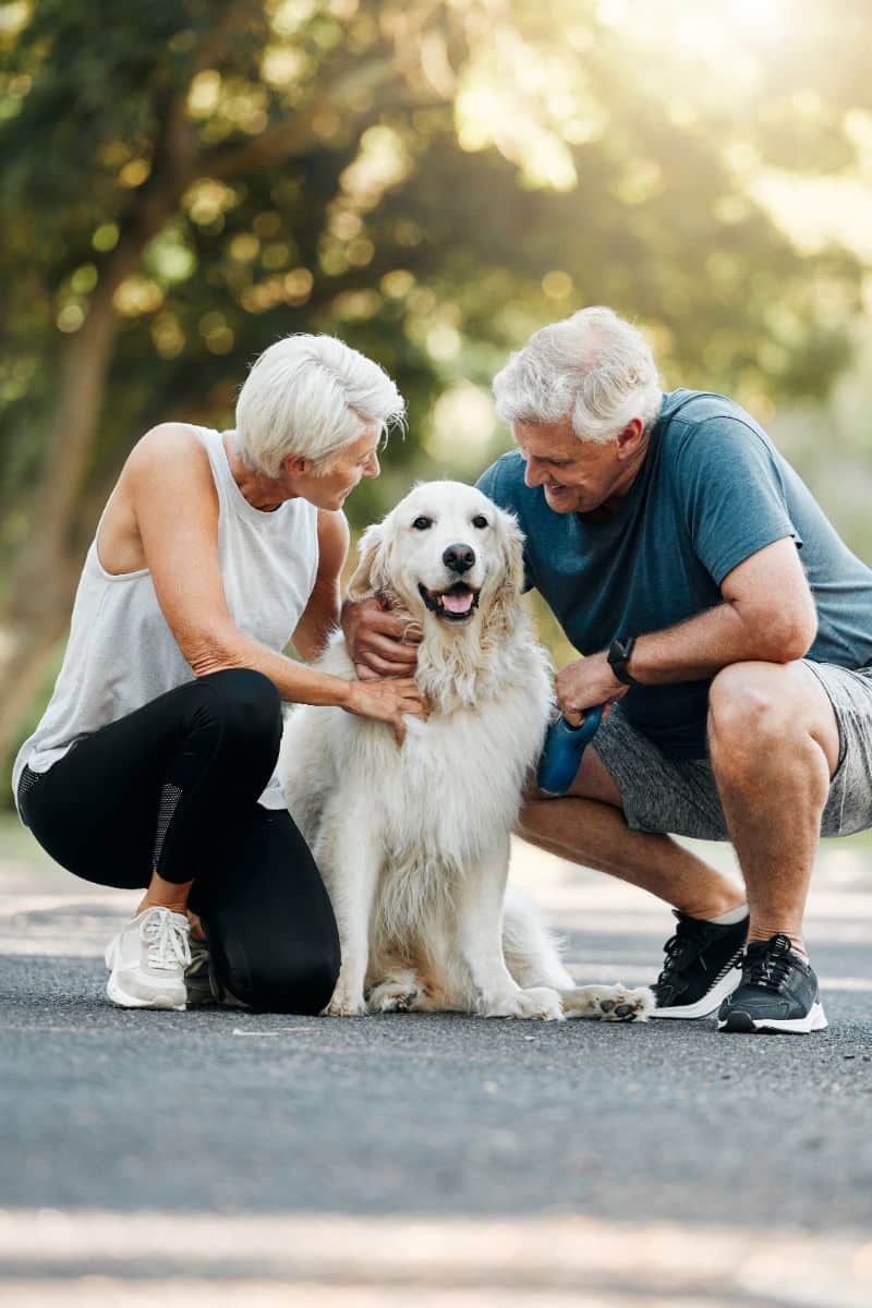 The Spiritual Meaning Of A Dog Crossing Your Path