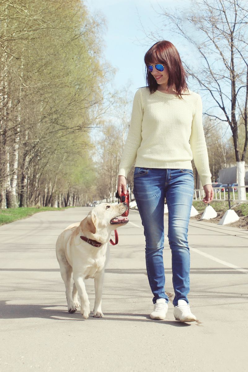 Dog With 2 Different Colored Eyes Spiritual Meaning