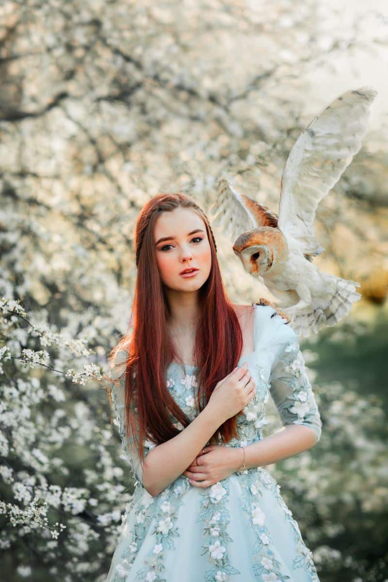Owl Hooting Outside My Window Spiritual Meaning